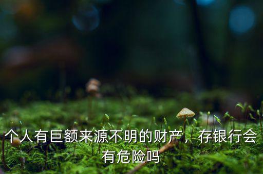 個人有巨額來源不明的財產(chǎn)，存銀行會有危險嗎