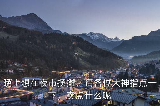 晚上想在夜市擺攤，請各位大神指點一下，賣點什么呢