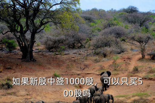 如果新股中簽1000股，可以只買500股嗎