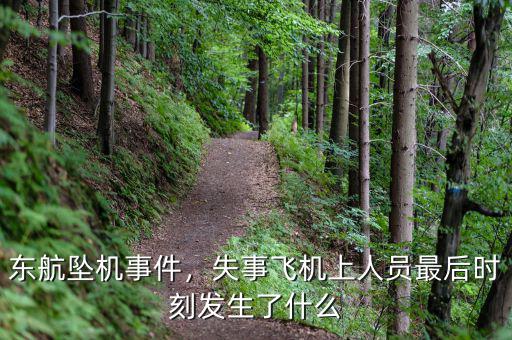 東航墜機(jī)事件，失事飛機(jī)上人員最后時刻發(fā)生了什么