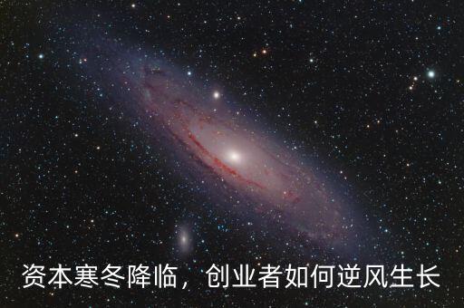資本寒冬降臨，創(chuàng)業(yè)者如何逆風(fēng)生長