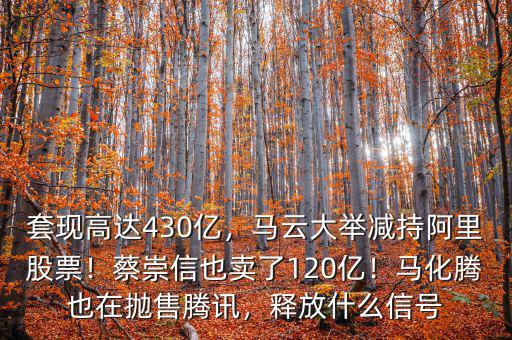 馬云買(mǎi)了什么股票,釋放什么信號(hào)