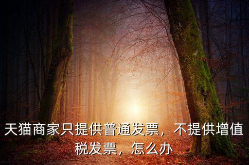 天貓商家只提供普通發(fā)票，不提供增值稅發(fā)票，怎么辦