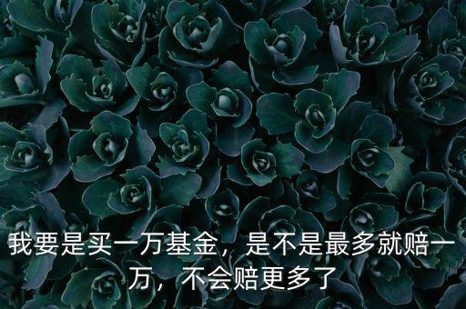 我要是買一萬基金，是不是最多就賠一萬，不會賠更多了