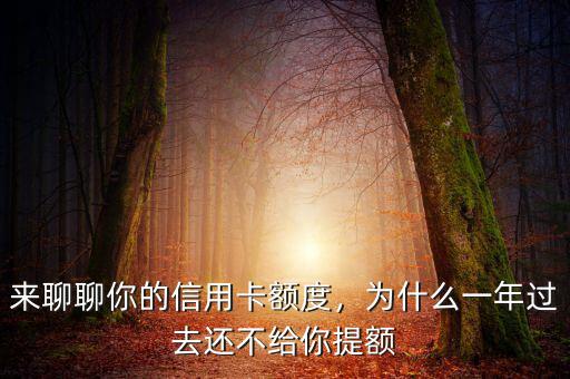 來聊聊你的信用卡額度，為什么一年過去還不給你提額