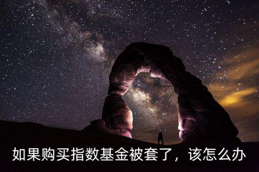 如果購買指數(shù)基金被套了，該怎么辦