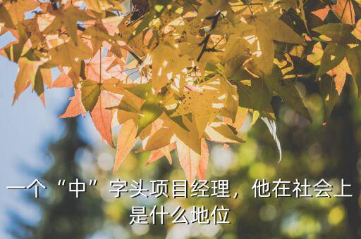 一個“中”字頭項目經理，他在社會上是什么地位