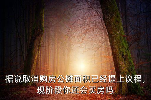 據(jù)說取消購(gòu)房公攤面積已經(jīng)提上議程，現(xiàn)階段你還會(huì)買房嗎