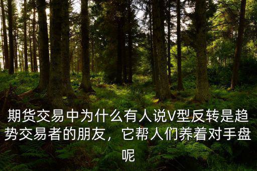 期貨交易中為什么有人說V型反轉(zhuǎn)是趨勢交易者的朋友，它幫人們養(yǎng)著對手盤呢