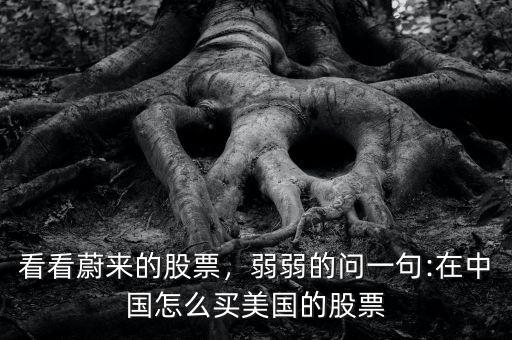 看看蔚來(lái)的股票，弱弱的問(wèn)一句:在中國(guó)怎么買美國(guó)的股票