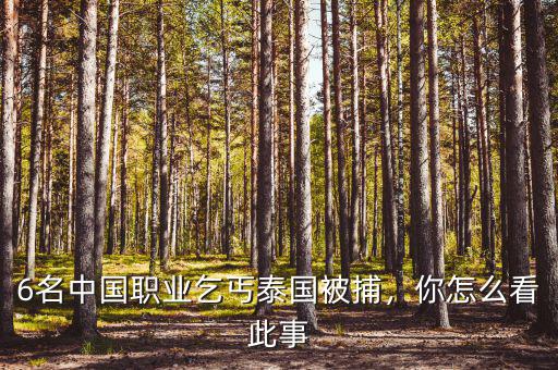 6名中國職業(yè)乞丐泰國被捕，你怎么看此事