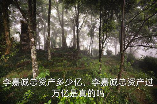 李嘉誠總資產(chǎn)多少億，李嘉誠總資產(chǎn)過萬億是真的嗎
