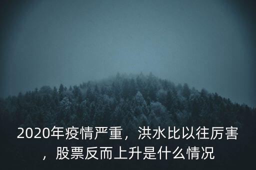 2020年疫情嚴重，洪水比以往厲害，股票反而上升是什么情況
