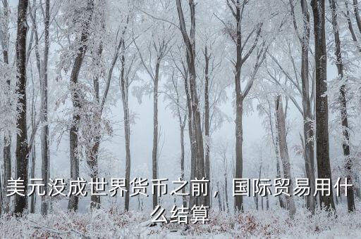 美元沒成世界貨幣之前，國際貿(mào)易用什么結(jié)算