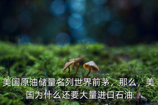 美國原油儲量名列世界前茅，那么，美國為什么還要大量進口石油