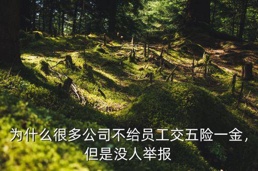 為什么很多公司不給員工交五險一金，但是沒人舉報