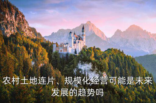 農(nóng)村土地連片、規(guī)?；?jīng)營可能是未來發(fā)展的趨勢嗎