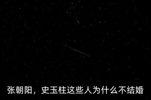 張朝陽(yáng)，史玉柱這些人為什么不結(jié)婚