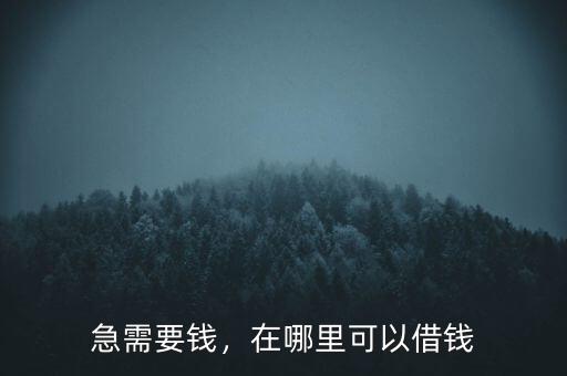 急需要錢，在哪里可以借錢