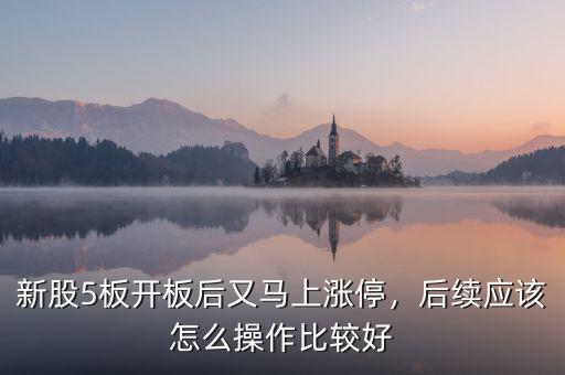 新股5板開(kāi)板后又馬上漲停，后續(xù)應(yīng)該怎么操作比較好