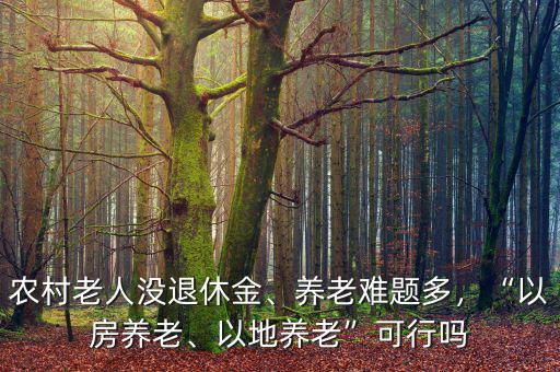 農村老人沒退休金、養(yǎng)老難題多，“以房養(yǎng)老、以地養(yǎng)老”可行嗎