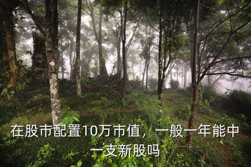在股市配置10萬市值，一般一年能中一支新股嗎