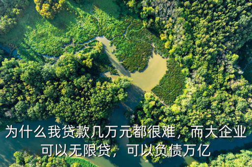 為什么我貸款幾萬元都很難，而大企業(yè)可以無限貸，可以負(fù)債萬億