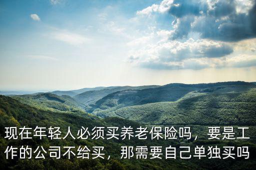 現(xiàn)在年輕人必須買養(yǎng)老保險(xiǎn)嗎，要是工作的公司不給買，那需要自己?jiǎn)为?dú)買嗎
