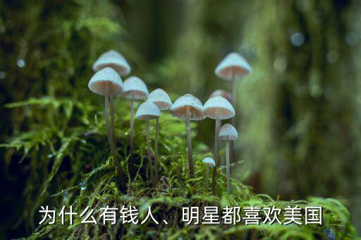 為什么有錢人、明星都喜歡美國