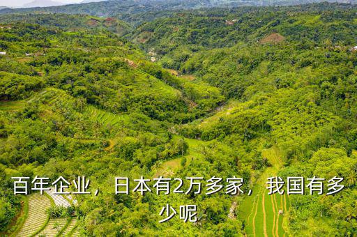 百年企業(yè)，日本有2萬(wàn)多家，我國(guó)有多少呢