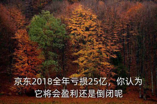 京東2018全年虧損25億，你認(rèn)為它將會(huì)盈利還是倒閉呢