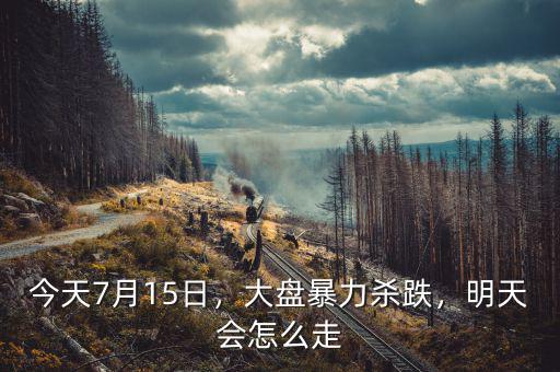 今天7月15日，大盤暴力殺跌，明天會(huì)怎么走