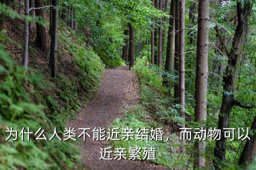 為什么人類不能近親結(jié)婚，而動物可以近親繁殖
