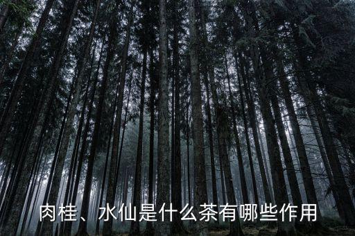 肉桂、水仙是什么茶有哪些作用