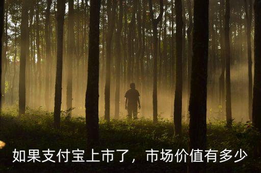 如果支付寶上市了，市場價值有多少