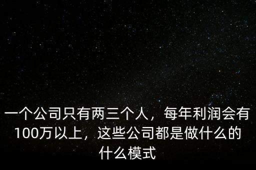 一個(gè)公司只有兩三個(gè)人，每年利潤(rùn)會(huì)有100萬以上，這些公司都是做什么的什么模式