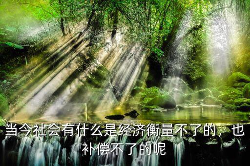 當(dāng)今社會有什么是經(jīng)濟(jì)衡量不了的，也補(bǔ)償不了的呢
