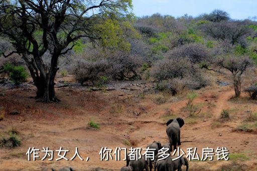 作為女人，你們都有多少私房錢(qián)