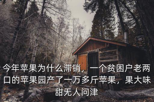今年蘋(píng)果為什么滯銷，一個(gè)貧困戶老兩口的蘋(píng)果園產(chǎn)了一萬(wàn)多斤蘋(píng)果，果大味甜無(wú)人問(wèn)津