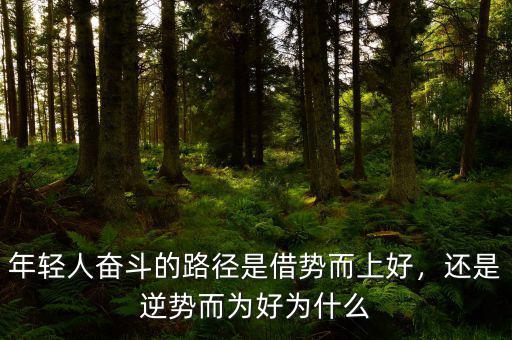 年輕人奮斗的路徑是借勢(shì)而上好，還是逆勢(shì)而為好為什么