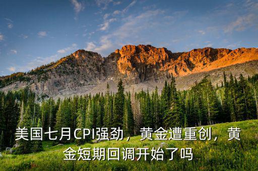 美國七月CPI強勁，黃金遭重創(chuàng)，黃金短期回調(diào)開始了嗎