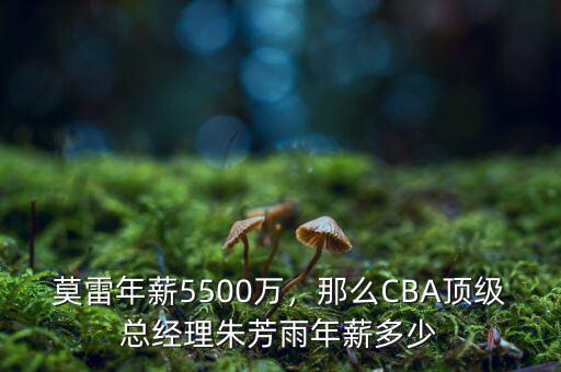 莫雷年薪5500萬，那么CBA頂級總經(jīng)理朱芳雨年薪多少