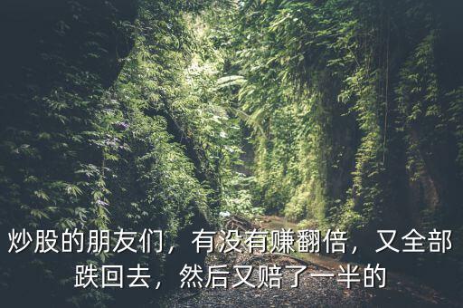 炒股的朋友們，有沒有賺翻倍，又全部跌回去，然后又賠了一半的