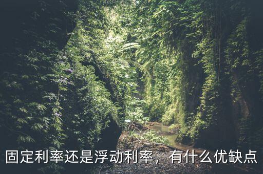 固定利率還是浮動利率，有什么優(yōu)缺點
