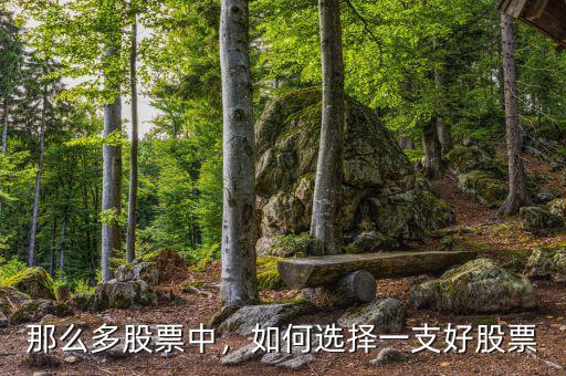 那么多股票中，如何選擇一支好股票