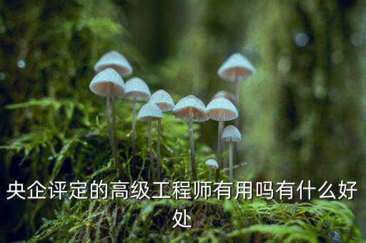 京東方高級(jí)工程師怎么評,央企評定的高級(jí)工程師有用嗎