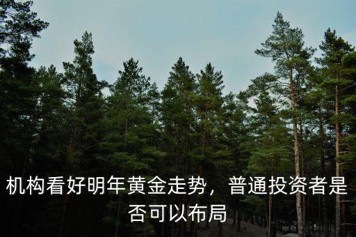 機(jī)構(gòu)看好明年黃金走勢，普通投資者是否可以布局