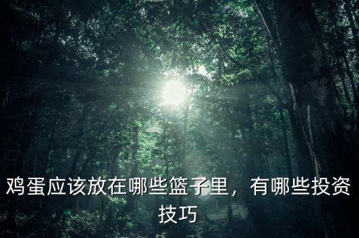 雞蛋應(yīng)該放在哪些籃子里，有哪些投資技巧