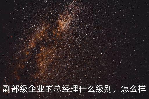 副部級(jí)企業(yè)的總經(jīng)理什么級(jí)別，怎么樣