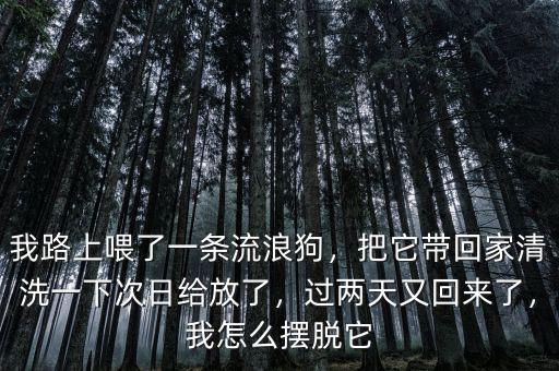 我路上喂了一條流浪狗，把它帶回家清洗一下次日給放了，過兩天又回來了，我怎么擺脫它